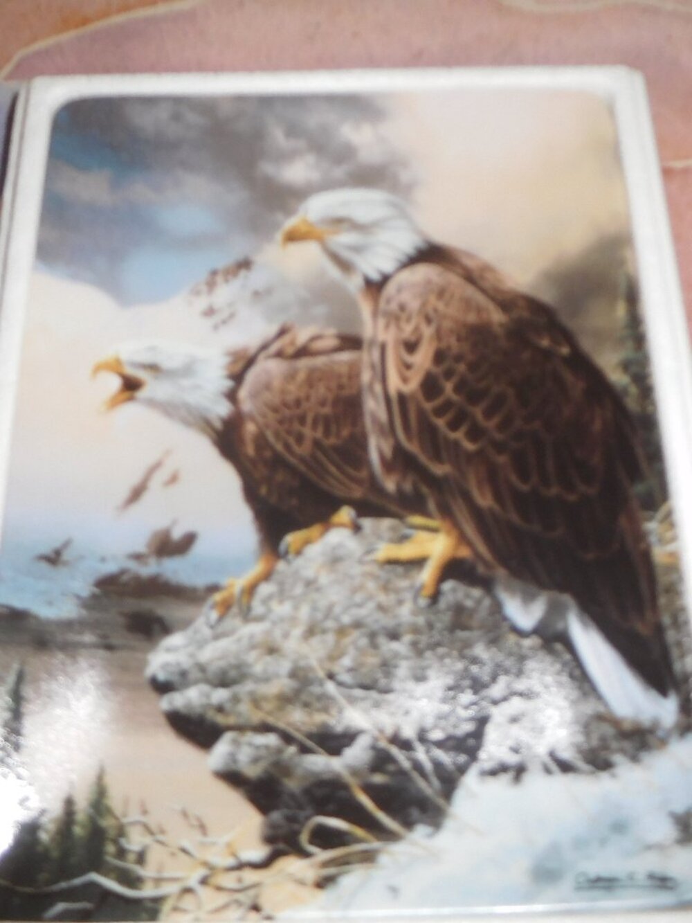 Realm of the Majestic Eagle Plate Collection / "Winter's Call"